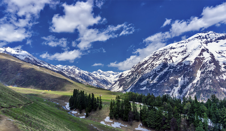 Valley of Flowers Trek