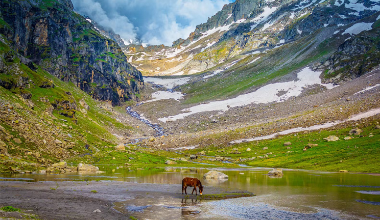 Valley of Flowers Trek